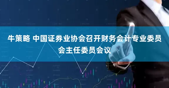牛策略 中国证券业协会召开财务会计专业委员会主任委员会议