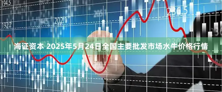 海证资本 2025年5月24日全国主要批发市场水牛价格行情