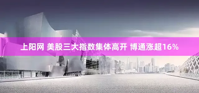 上阳网 美股三大指数集体高开 博通涨超16%