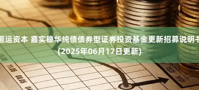 恒运资本 嘉实稳华纯债债券型证券投资基金更新招募说明书(2025年06月17日更新)