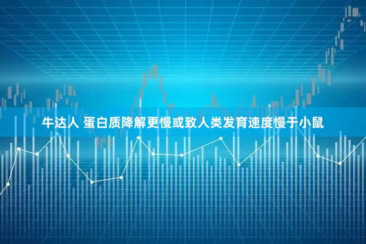 牛达人 蛋白质降解更慢或致人类发育速度慢于小鼠